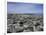 Montevideo, Uruguay-null-Framed Photographic Print