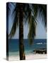 Montezuma Beach, Nicoya Peninsula, Costa Rica, Central America-Levy Yadid-Stretched Canvas