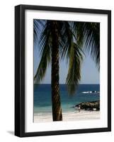 Montezuma Beach, Nicoya Peninsula, Costa Rica, Central America-Levy Yadid-Framed Photographic Print