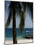 Montezuma Beach, Nicoya Peninsula, Costa Rica, Central America-Levy Yadid-Mounted Photographic Print