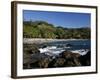 Montezuma Beach, Nicoya Peninsula, Costa Rica, Central America-Levy Yadid-Framed Photographic Print