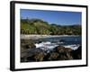 Montezuma Beach, Nicoya Peninsula, Costa Rica, Central America-Levy Yadid-Framed Photographic Print