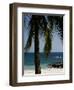 Montezuma Beach, Nicoya Peninsula, Costa Rica, Central America-Levy Yadid-Framed Photographic Print