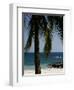 Montezuma Beach, Nicoya Peninsula, Costa Rica, Central America-Levy Yadid-Framed Photographic Print