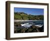 Montezuma Beach, Nicoya Peninsula, Costa Rica, Central America-Levy Yadid-Framed Photographic Print