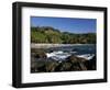 Montezuma Beach, Nicoya Peninsula, Costa Rica, Central America-Levy Yadid-Framed Photographic Print