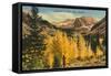 Montezuma Mountain, Aspen, Colorado-null-Framed Stretched Canvas