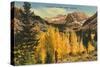 Montezuma Mountain, Aspen, Colorado-null-Stretched Canvas