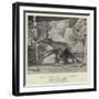 Montezuma's Daughter-John Seymour Lucas-Framed Giclee Print