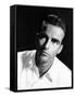 Montgomery Clift-null-Framed Stretched Canvas