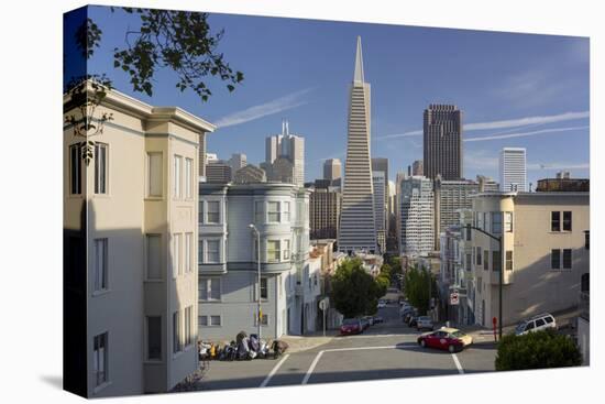 Montgomery Street, Transamerica Pyramid, Telegraph Hill, San Francisco, California, Usa-Rainer Mirau-Stretched Canvas