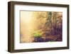 Month of Somedays-Philippe Sainte-Laudy-Framed Photographic Print