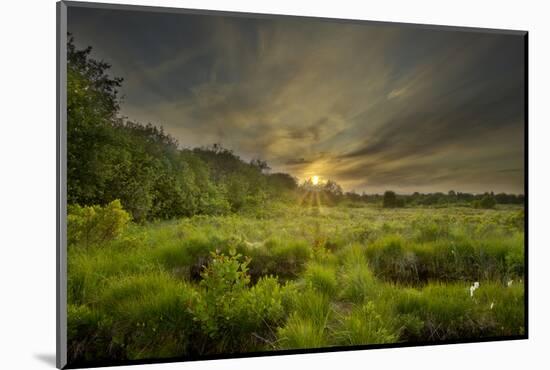 Montiagh's Moss at Dusk, County Antrim, Northern Ireland, UK, June 2011-Ben Hall-Mounted Photographic Print