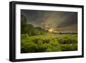 Montiagh's Moss at Dusk, County Antrim, Northern Ireland, UK, June 2011-Ben Hall-Framed Photographic Print