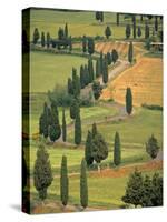 Monticchiello, Tuscany, Italy-Walter Bibikow-Stretched Canvas