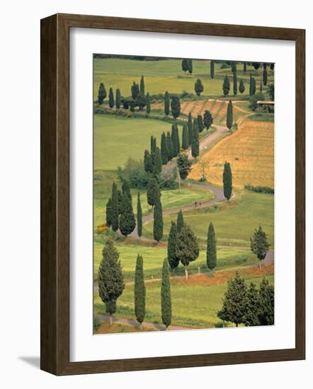 Monticchiello, Tuscany, Italy-Walter Bibikow-Framed Photographic Print