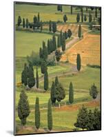 Monticchiello, Tuscany, Italy-Walter Bibikow-Mounted Photographic Print