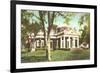 Monticello, Charlottesville, Virginia-null-Framed Art Print