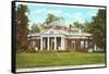 Monticello, Charlottesville, Virginia-null-Framed Stretched Canvas