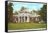 Monticello, Charlottesville, Virginia-null-Framed Stretched Canvas