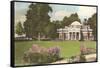 Monticello, Charlottesville, Virginia-null-Framed Stretched Canvas