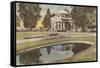 Monticello, Charlottesville, Virginia-null-Framed Stretched Canvas