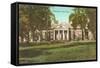 Monticello, Charlottesville, Virginia-null-Framed Stretched Canvas