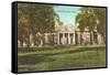 Monticello, Charlottesville, Virginia-null-Framed Stretched Canvas