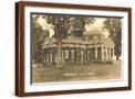 Brown Frame