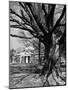 Monticello, House Thomas Jefferson Built for Himself on Top of Little Mountain Near Charlottesville-Alfred Eisenstaedt-Mounted Photographic Print