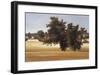 Montpellier Oak-Kent Lovelace-Framed Giclee Print