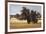 Montpellier Oak-Kent Lovelace-Framed Giclee Print