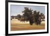 Montpellier Oak-Kent Lovelace-Framed Giclee Print