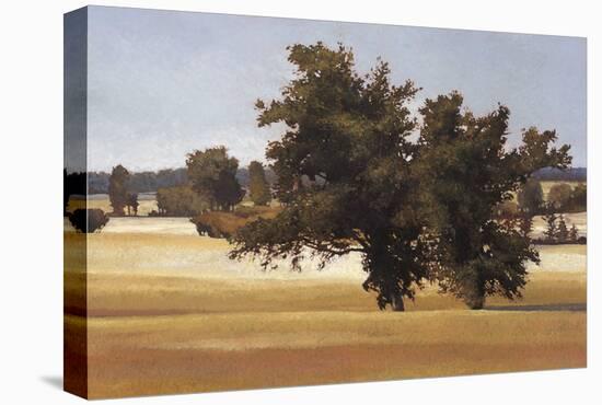 Montpellier Oak-Kent Lovelace-Stretched Canvas