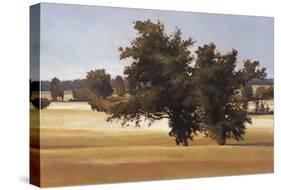 Montpellier Oak-Kent Lovelace-Stretched Canvas