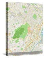 Montreal, Canada Map-null-Stretched Canvas