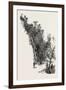 Montreal, L'Escalier, Canada, Nineteenth Century-null-Framed Giclee Print
