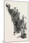 Montreal, L'Escalier, Canada, Nineteenth Century-null-Mounted Giclee Print