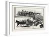 Montreal, Market Scenes in Jacques Cartier Square, Canada, Nineteenth Century-null-Framed Giclee Print