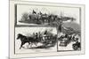 Montreal, Market Scenes in Jacques Cartier Square, Canada, Nineteenth Century-null-Mounted Giclee Print