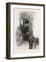 Montreal, Pulpit of Notre Dame, Canada, Nineteenth Century-null-Framed Giclee Print