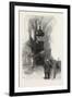 Montreal, Pulpit of Notre Dame, Canada, Nineteenth Century-null-Framed Giclee Print