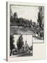 Montreal, the Champ De Mars, Canada, Nineteenth Century-null-Stretched Canvas