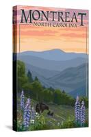 Montreat, North Carolina - Spring Flowers and Bear Family-Lantern Press-Stretched Canvas