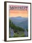 Montreat, North Carolina - Spring Flowers and Bear Family-Lantern Press-Framed Art Print