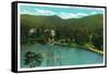 Montreat, North Carolina, View of the Alba Hotel, Lake Susan and the High Dive-Lantern Press-Framed Stretched Canvas