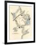 Montresor's Map of Inland Maine, Used for Arnold's March to Quebec, 1775-null-Framed Giclee Print