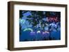 Montreux During the Jazz Festival, Lake Geneva, Vaud, Switzerland-Jon Arnold-Framed Photographic Print