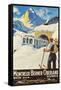 Montreux Ski Poster-null-Framed Stretched Canvas