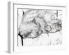 montwee, 2000,-Vincent Alexander Booth-Framed Giclee Print